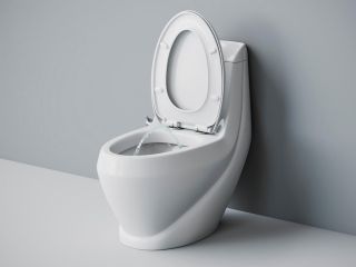 Унитаз-моноблок Laguraty 2160 AС с функцией биде и смесителем белый